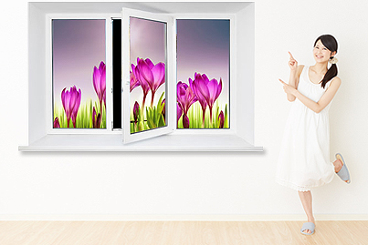 Fensterfolie mit Bild Ihrer Wahl günstig kaufen