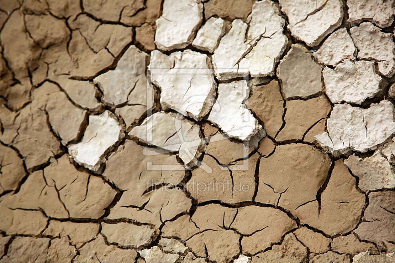 Bild-Nr.: 10050691 Naturmalerei erstellt von Renate Knapp