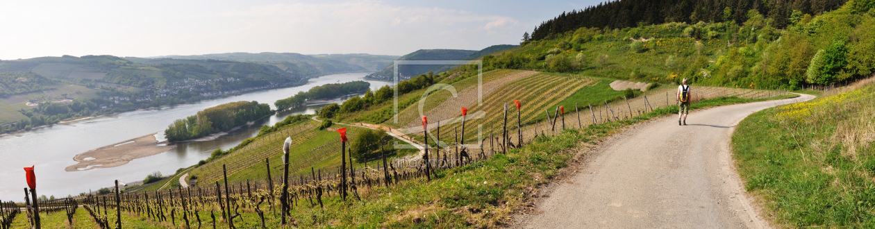 Bild-Nr.: 10058445 Burgenweg-Panorama über Weinberge vor Lorch(neu) erstellt von Erhard Hess
