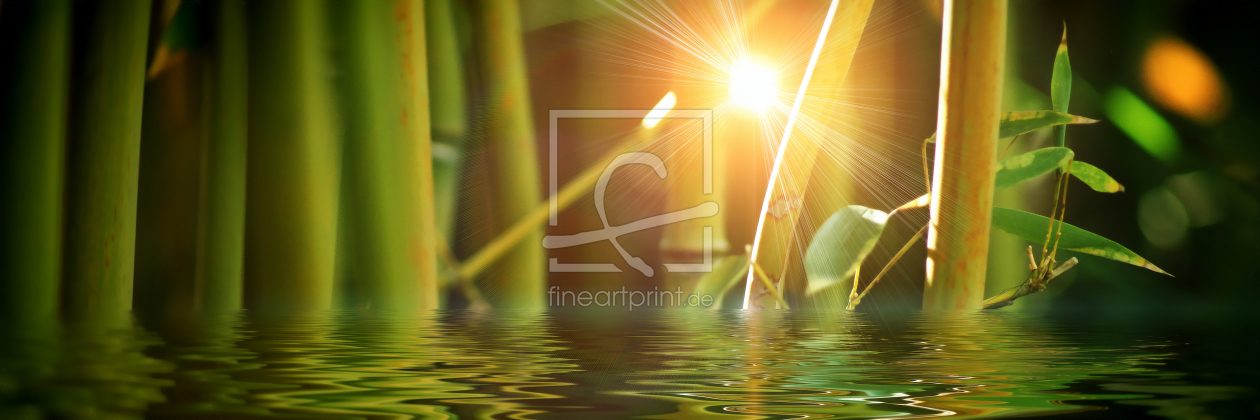 Bild-Nr.: 10140310 Bambus und Licht erstellt von Frank Wächter