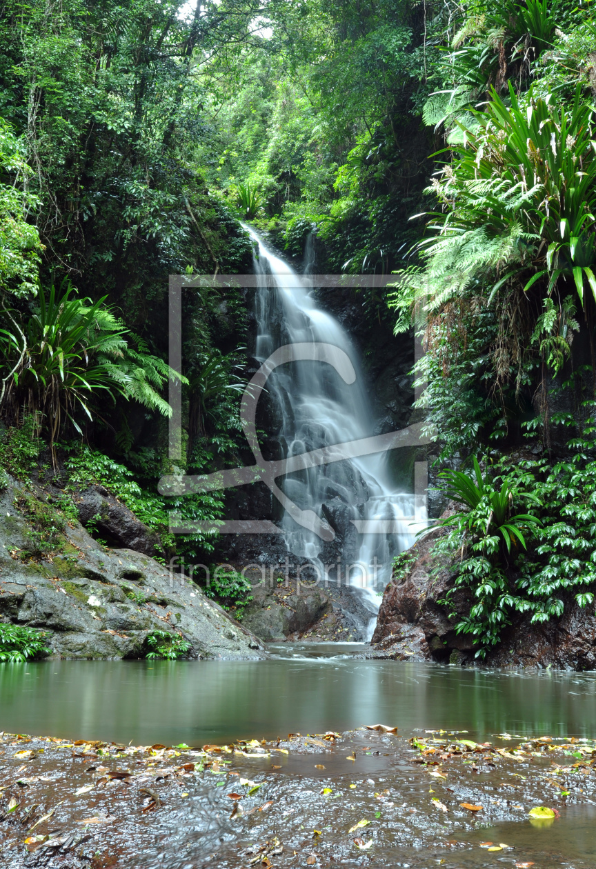 Bild-Nr.: 10196589 Rainforest Waterfall erstellt von MSPictures