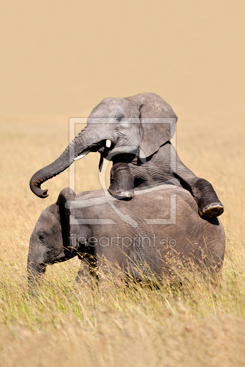 Bild-Nr.: 10197133 Wir zwei erstellt von Safarifotografie