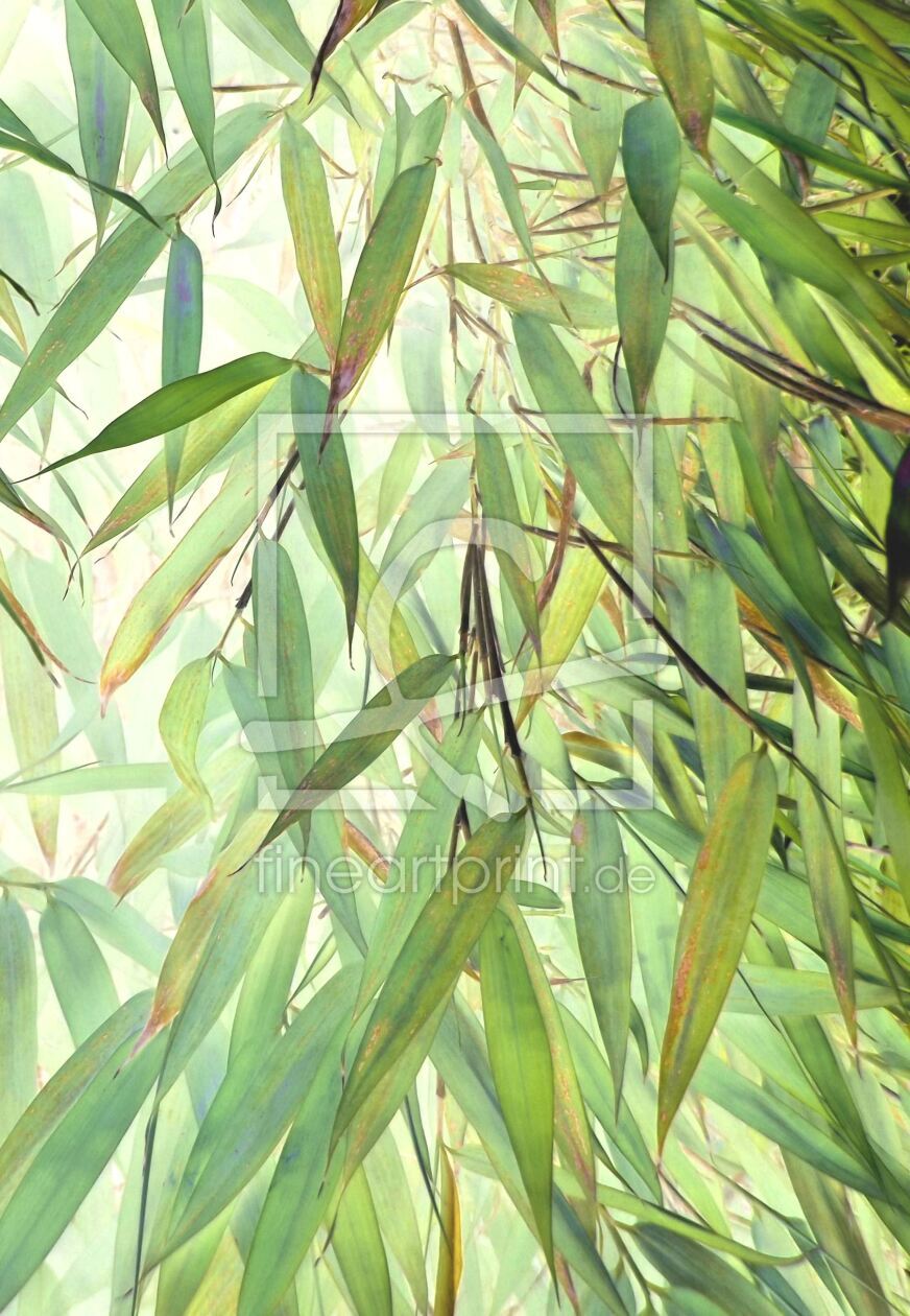 Bild-Nr.: 10217495 Green bamboo no. 2 erstellt von Heidemarie Sattler