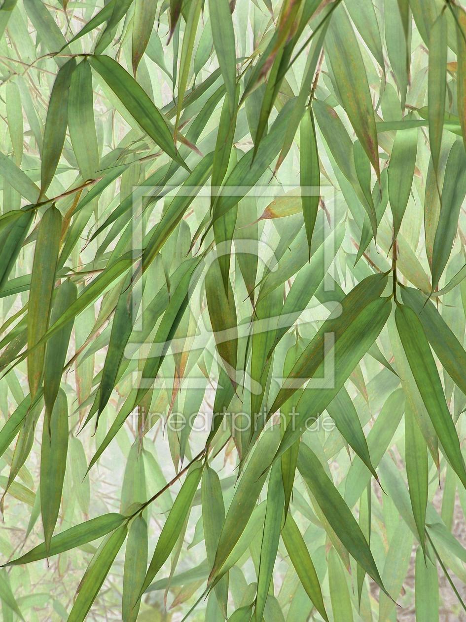 Bild-Nr.: 10230761 Green bamboo no. 3 erstellt von Heidemarie Sattler