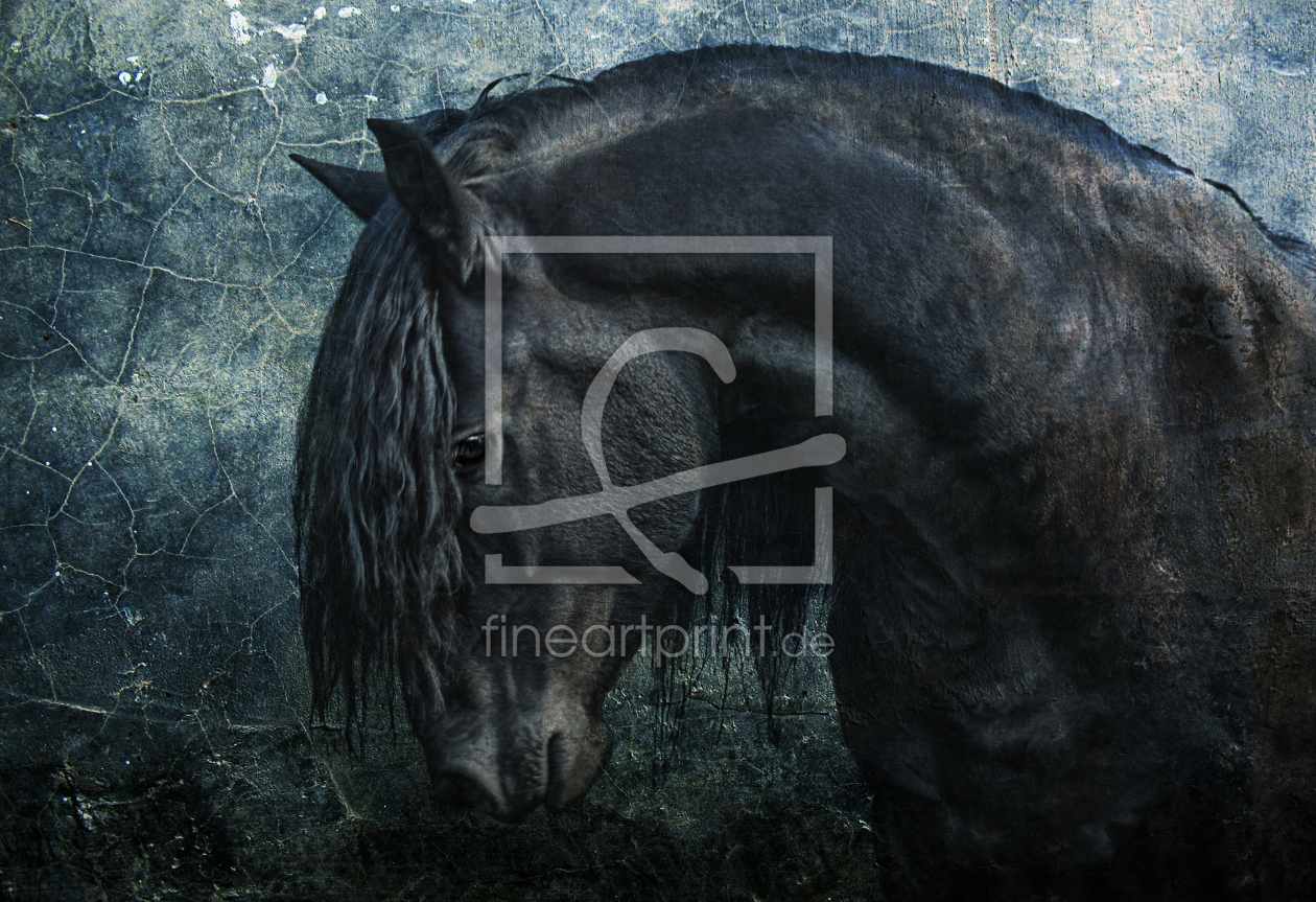 Bild-Nr.: 10363825 Black Frisian Stallion erstellt von Vereinigung-Emotional-Expressionisten
