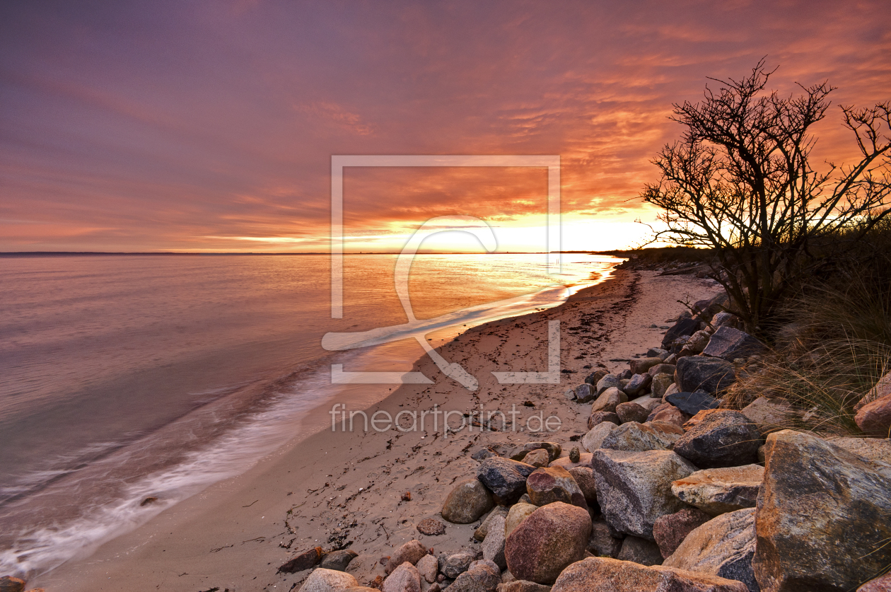 Bild-Nr.: 10385507 Goldenes Licht an der Ostseeküste erstellt von Nordbilder