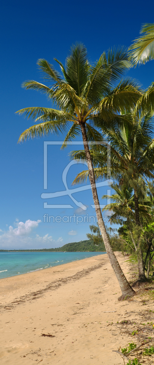 Bild-Nr.: 10416761 Coconut Palm Beach erstellt von MSPictures
