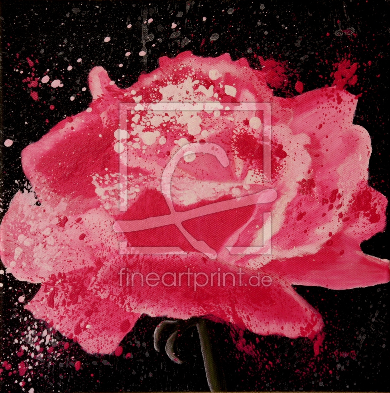 Bild-Nr.: 10420697 The power of rose erstellt von Petra Koob