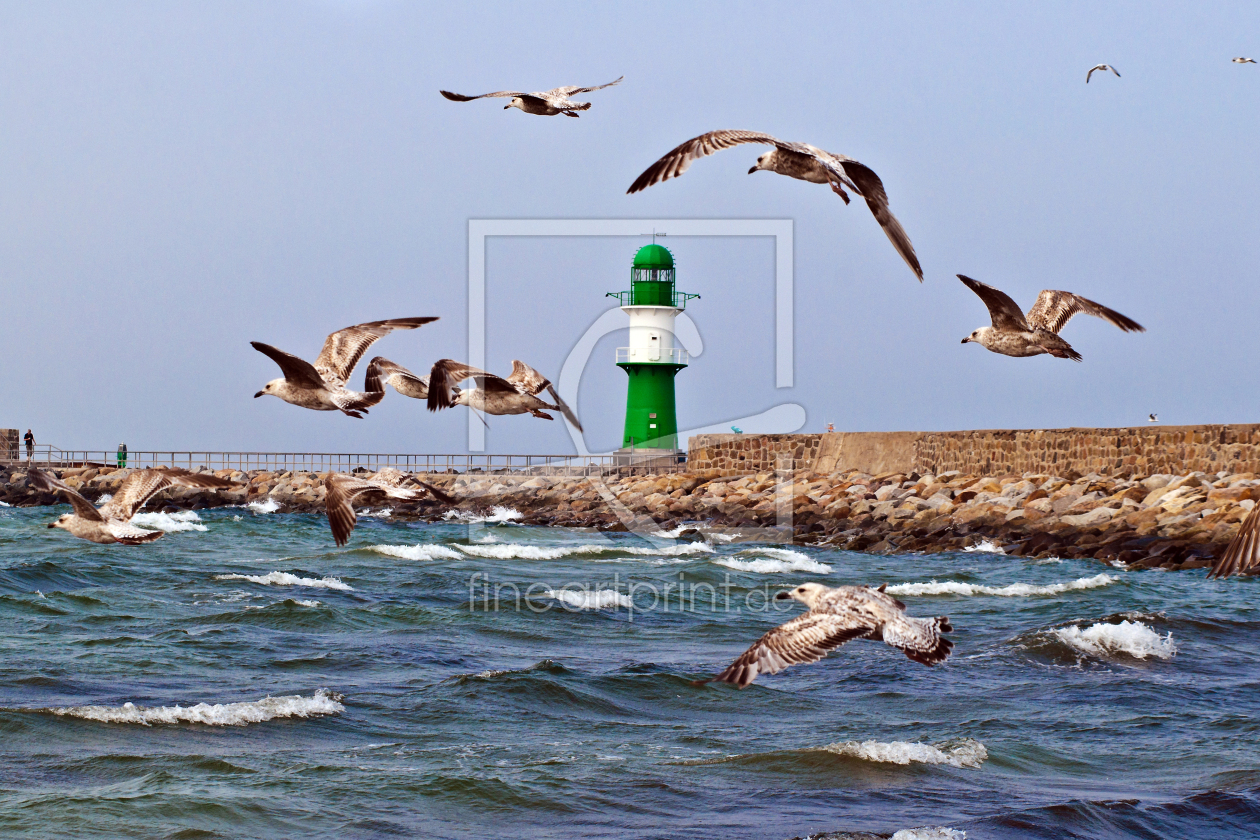 Bild-Nr.: 10439896 Möwenflug erstellt von Captainsilva