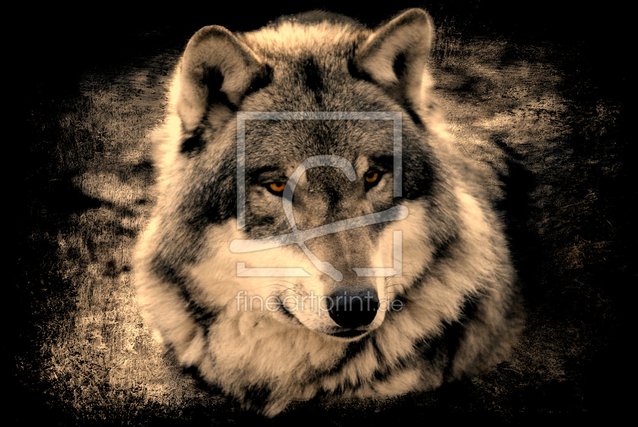 Bild-Nr.: 10636176 Wolf erstellt von lika