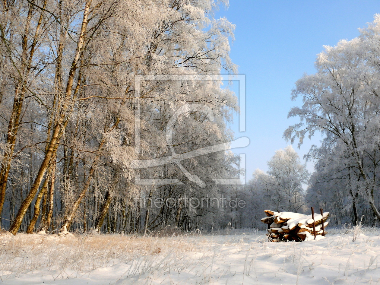 Bild-Nr.: 10740893 Brennholz im Winter.. erstellt von Ostfriese