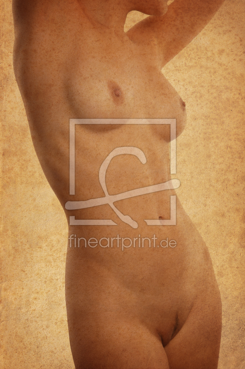 Bild-Nr.: 10842125 female torso (with texture) erstellt von Axel Bückert