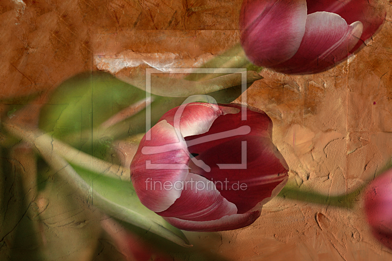 Bild-Nr.: 10881518 Tulpenstillleben erstellt von Heike  Hultsch
