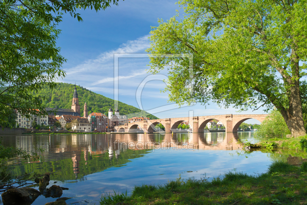 Bild-Nr.: 10946897 Heidelberg im Frühling Fine Art erstellt von eyetronic