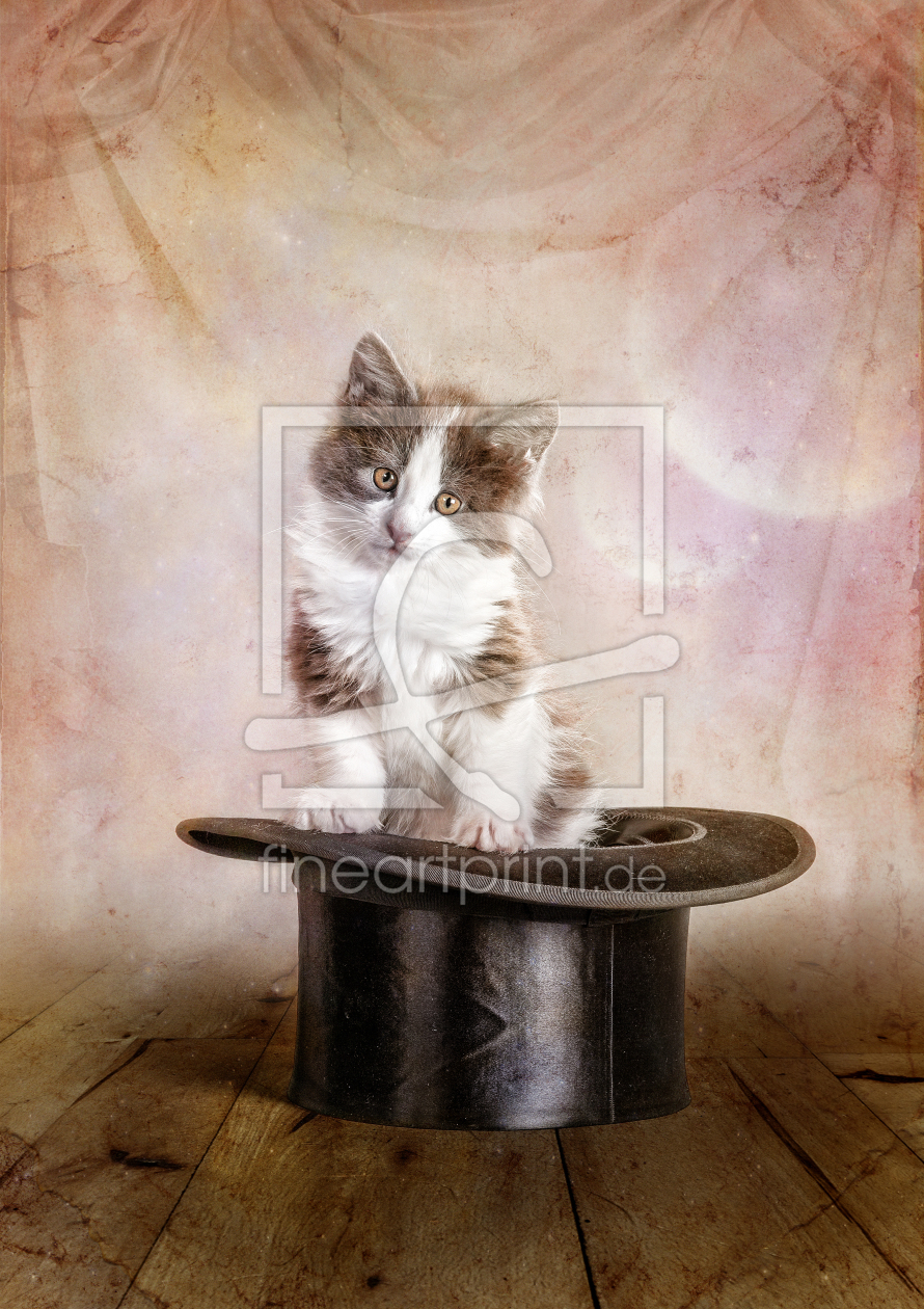 Bild-Nr.: 10950367 magic kitten. erstellt von René de Brunn