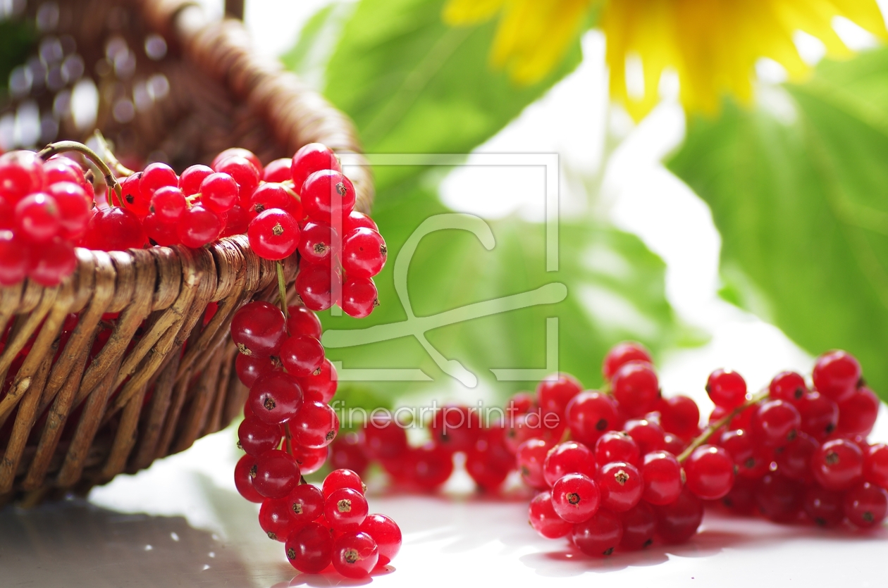 Bild-Nr.: 10998230 Rote Früchte im Korb erstellt von Tanja Riedel