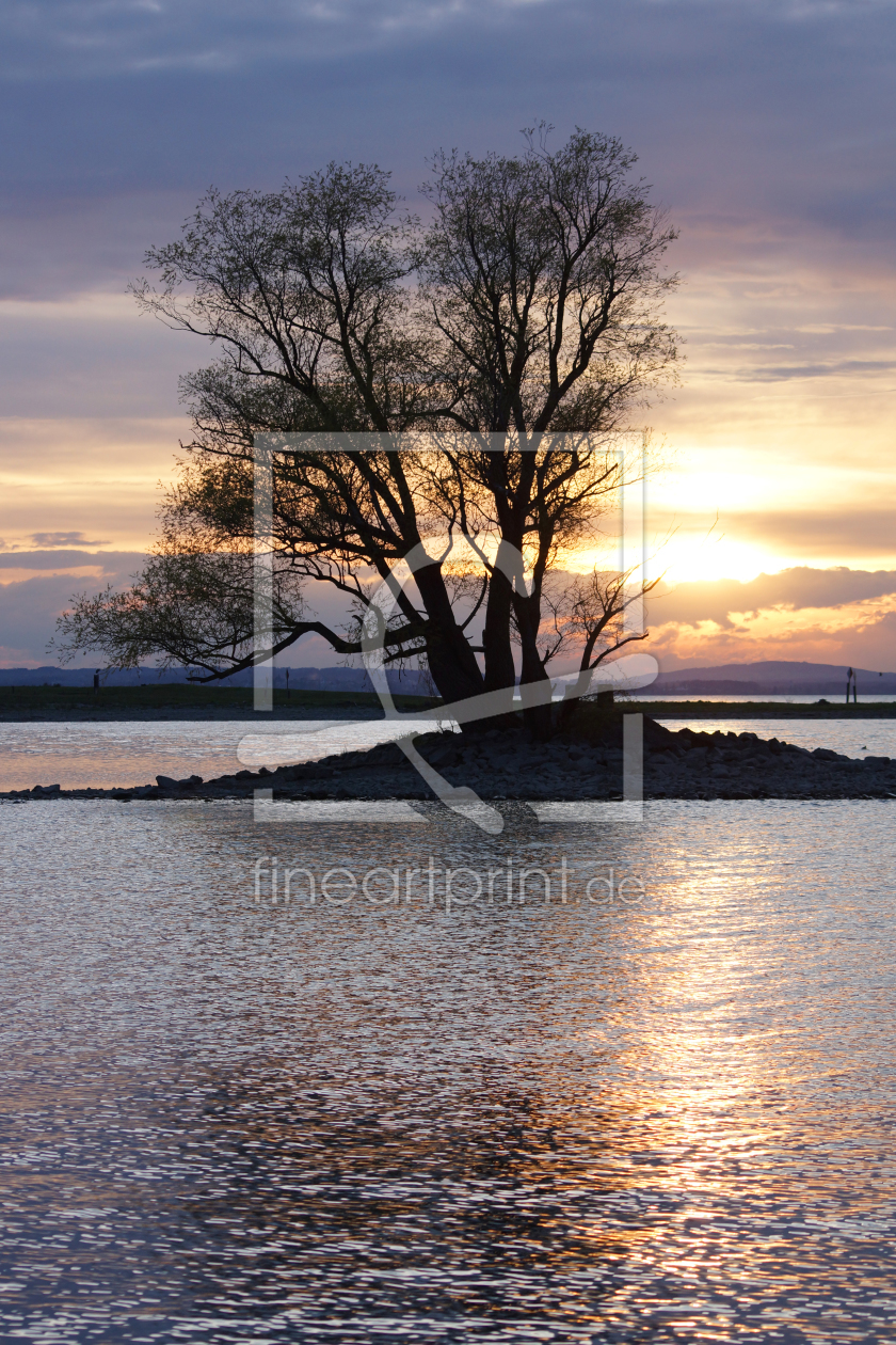 Bild-Nr.: 11031051 Tree erstellt von avlbger