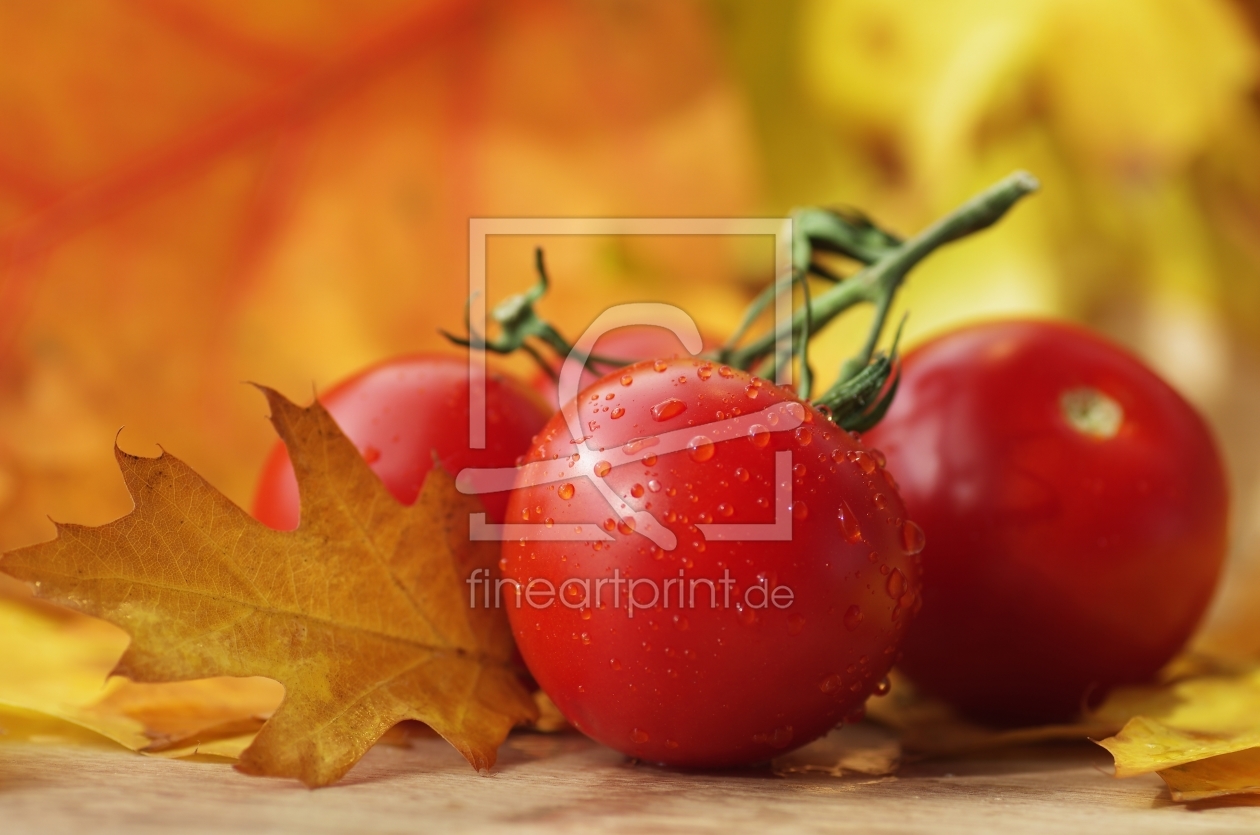 Bild-Nr.: 11057875 Frische Tomaten ein Genuss erstellt von Tanja Riedel