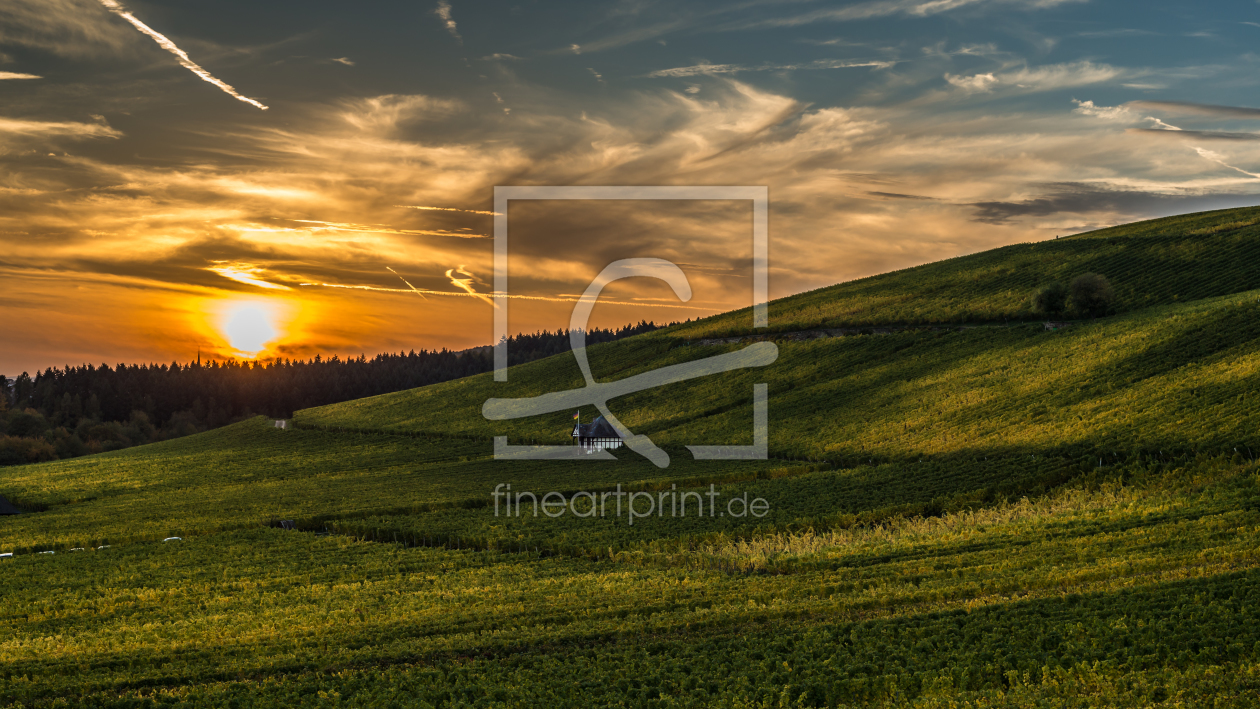 Bild-Nr.: 11086995 Goldener Weinberg erstellt von Erhard Hess