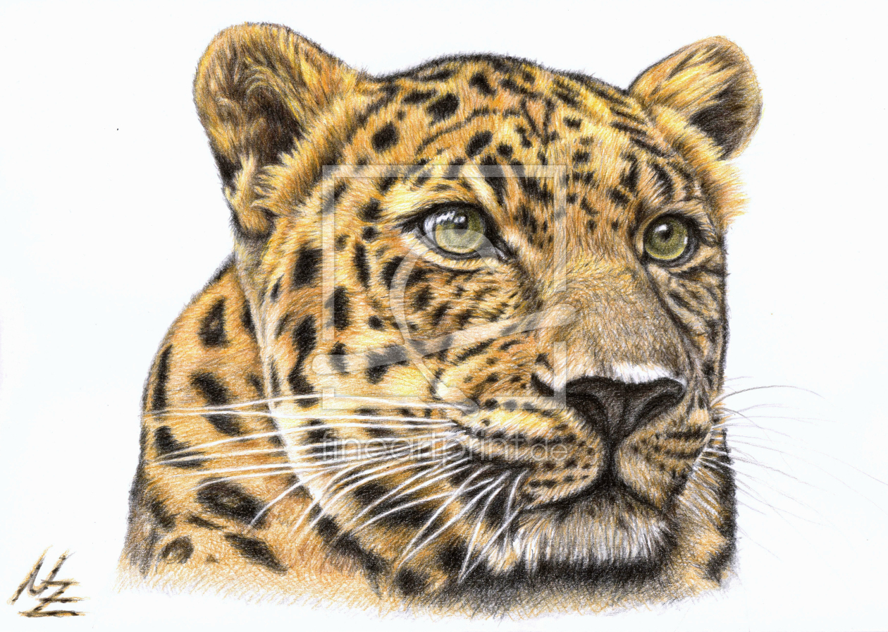 Bild-Nr.: 11099881 Der Leopard erstellt von NicoleZeug