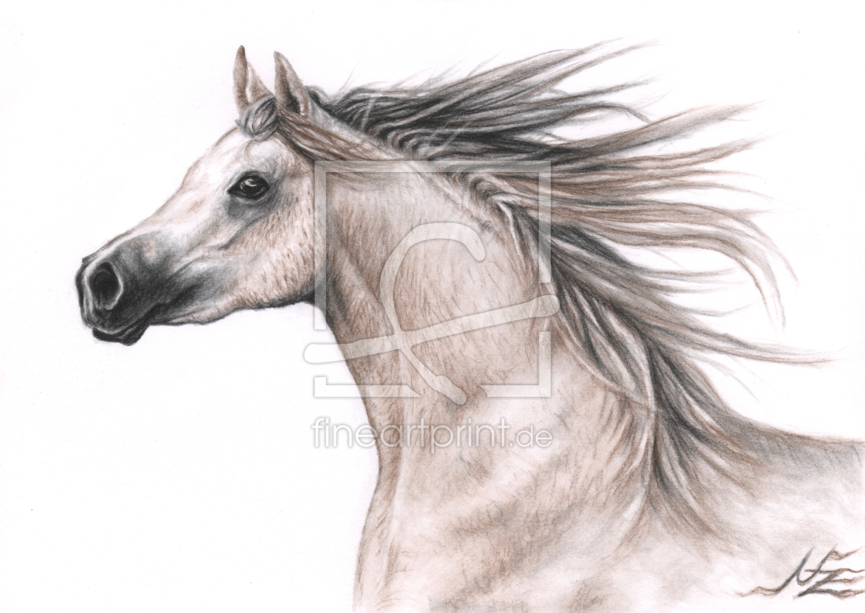 Bild-Nr.: 11114281 Araber Pferd erstellt von NicoleZeug