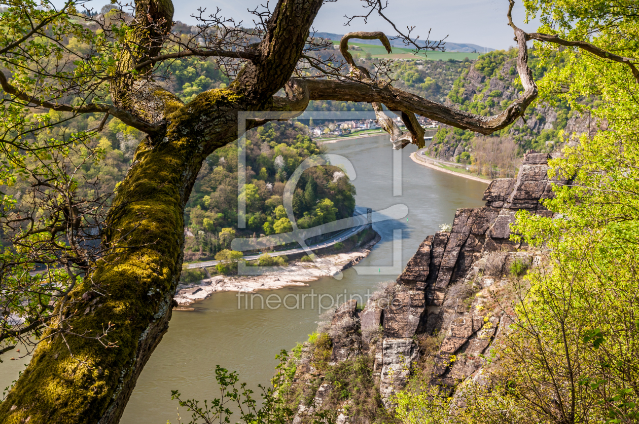 Bild-Nr.: 11185864 Traumblick vom Spitznack zur Loreley erstellt von Erhard Hess