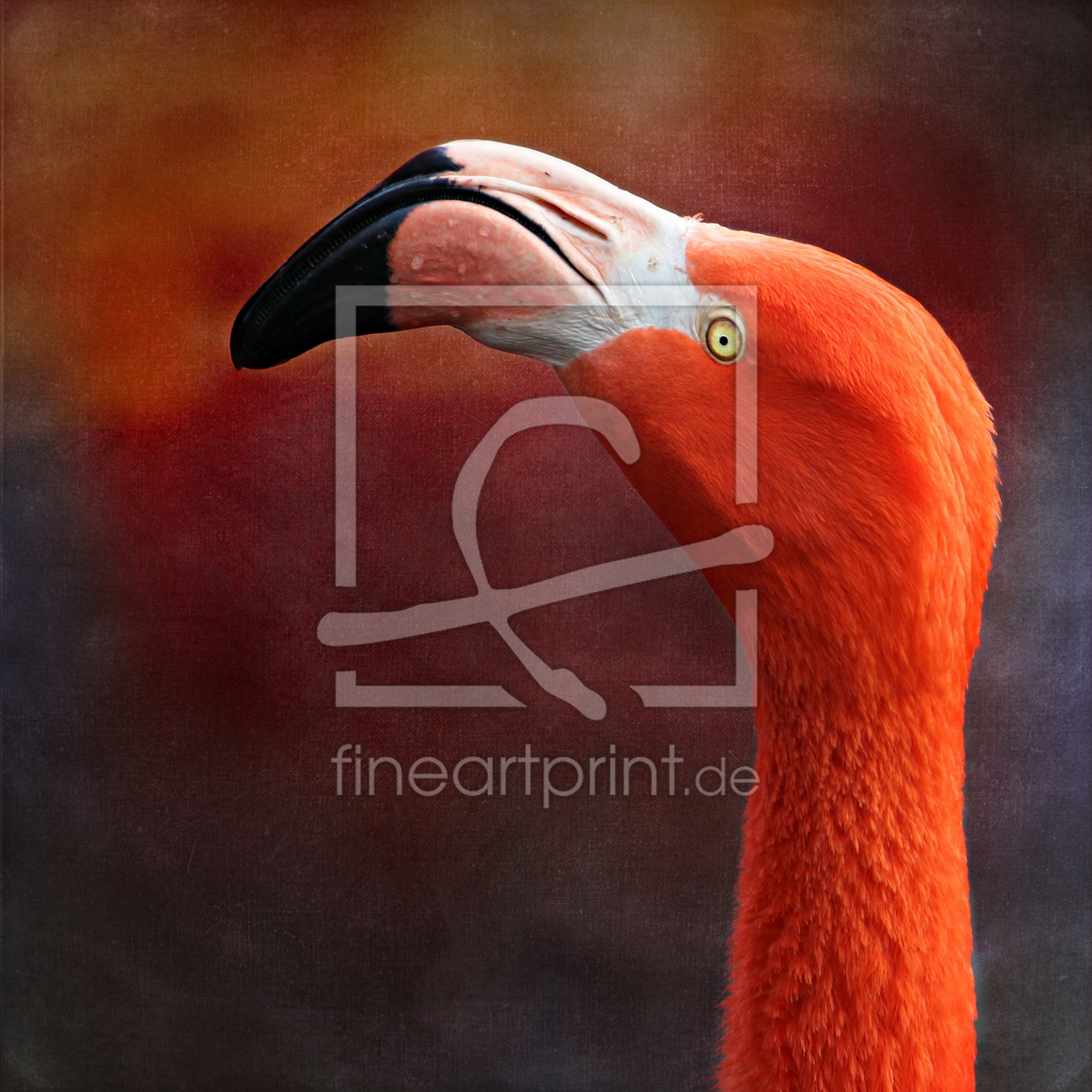 Bild-Nr.: 11192644 Flamingo erstellt von Heike  Hultsch