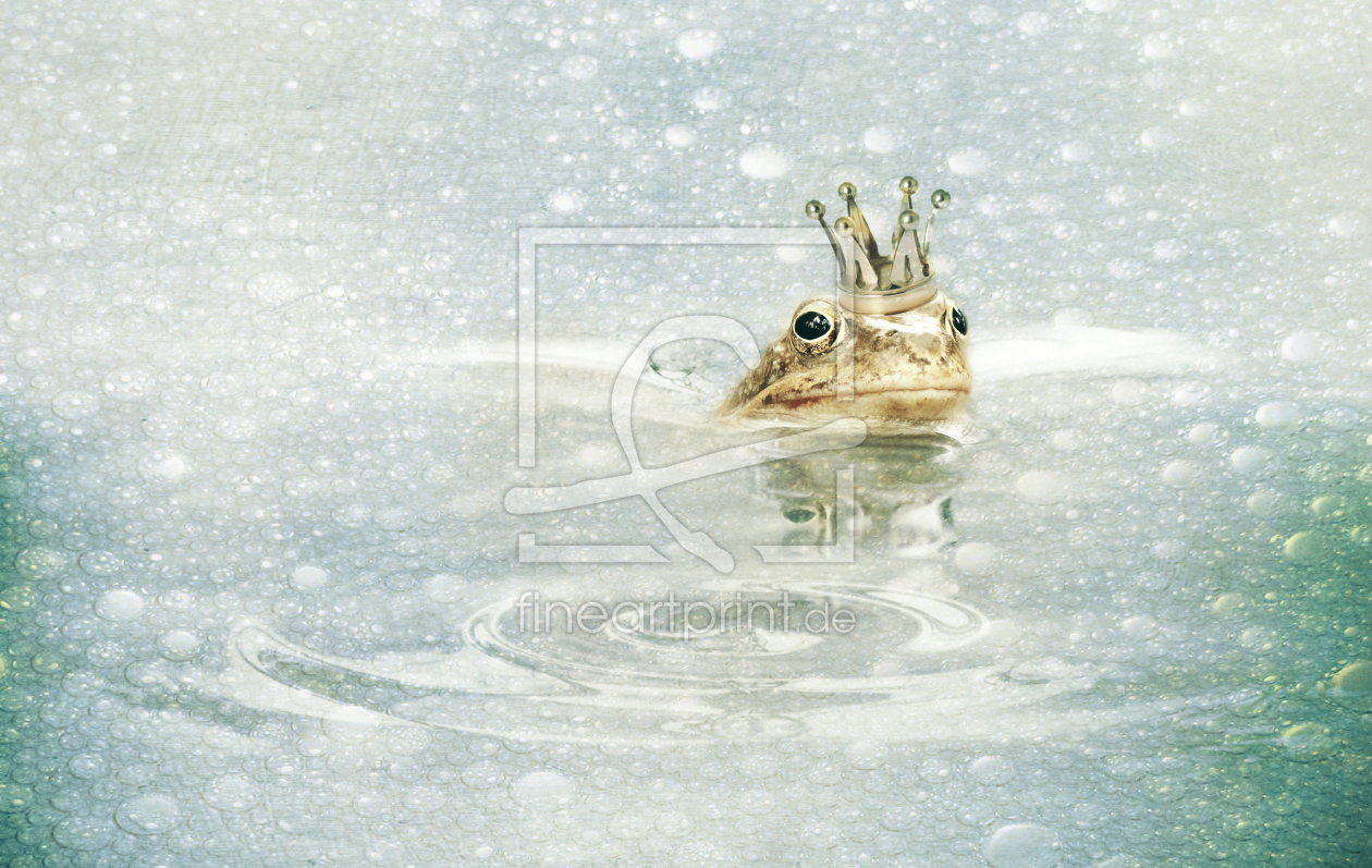 Bild-Nr.: 11239354 Der Froschkönig im Schneeregen erstellt von Heike  Hultsch