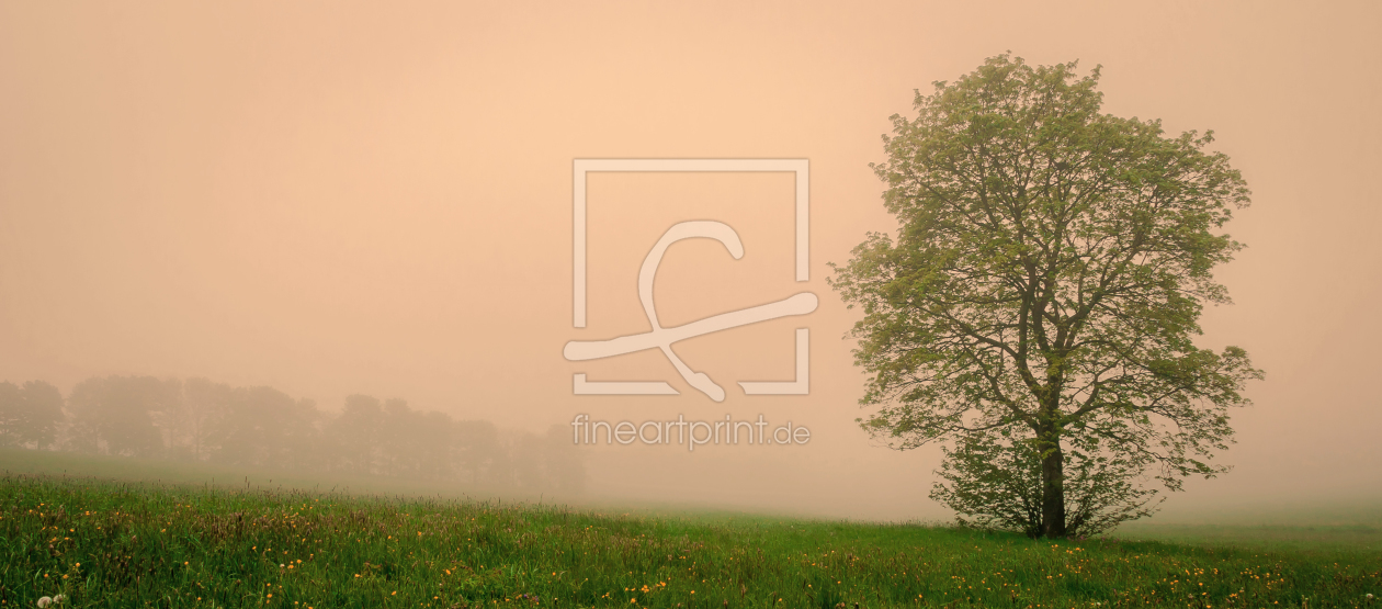 Bild-Nr.: 11257566 Die Sonne und der Nebel erstellt von Steffen Henze