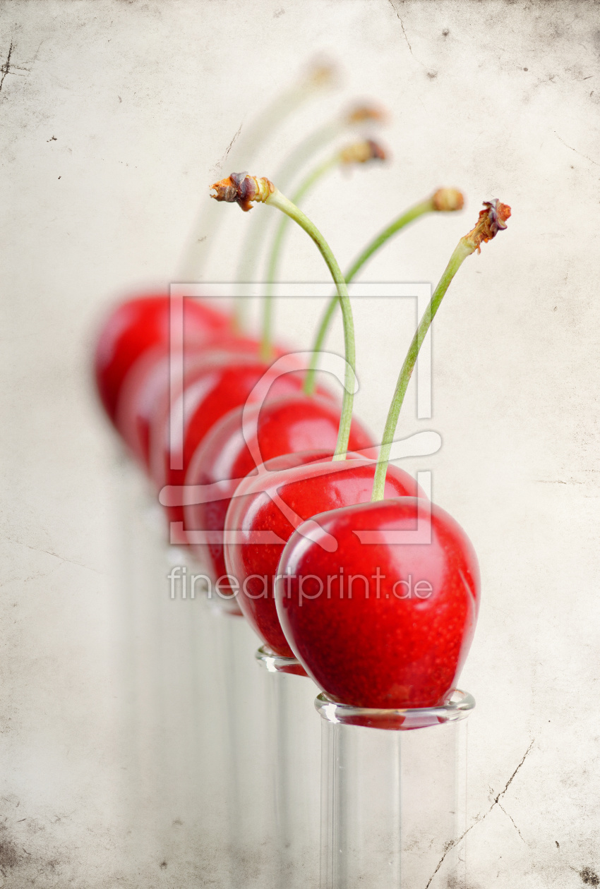 Bild-Nr.: 11271474 cherries  erstellt von Rolf Eschbach