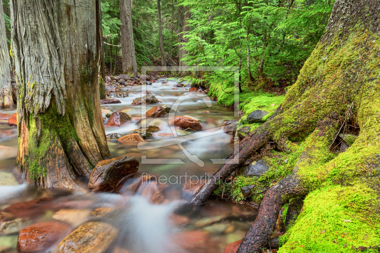 Bild-Nr.: 11400385 Jackson Creek - Glacier NP Montana, USA erstellt von TomKli