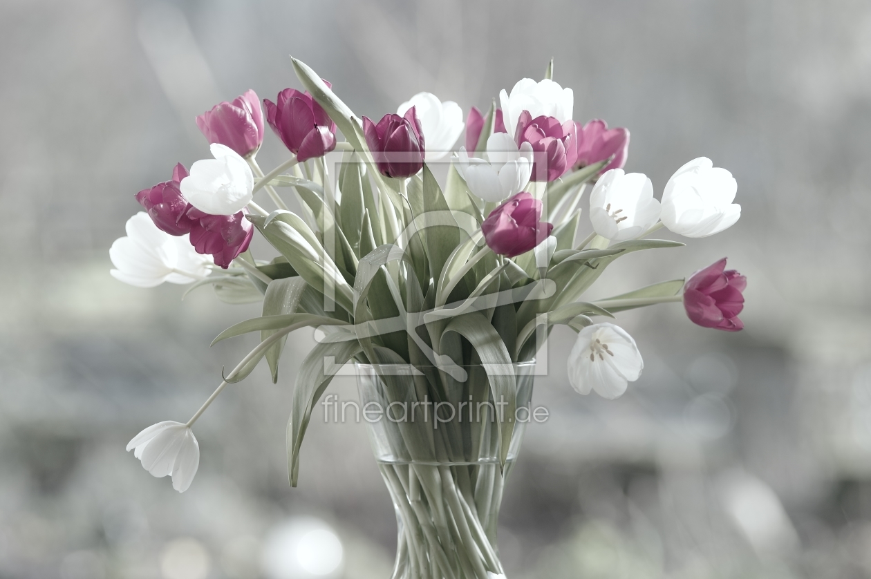Bild-Nr.: 11429866 Tulpen Strauß Pastelle erstellt von Tanja Riedel