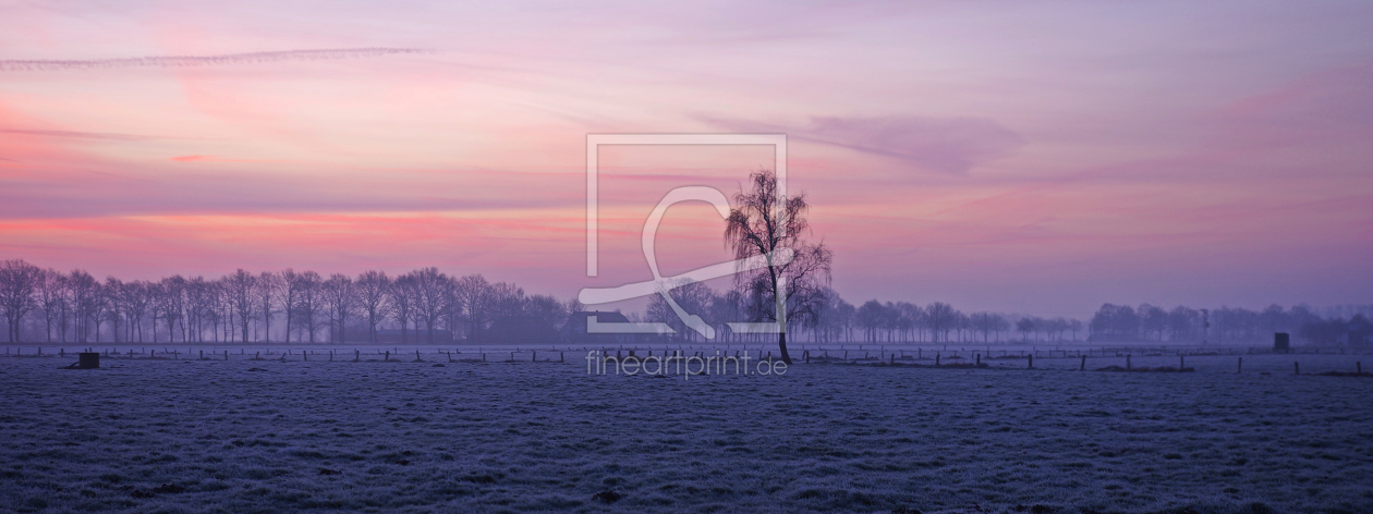 Bild-Nr.: 11432350 Birke im violettem Licht erstellt von Tanja Riedel