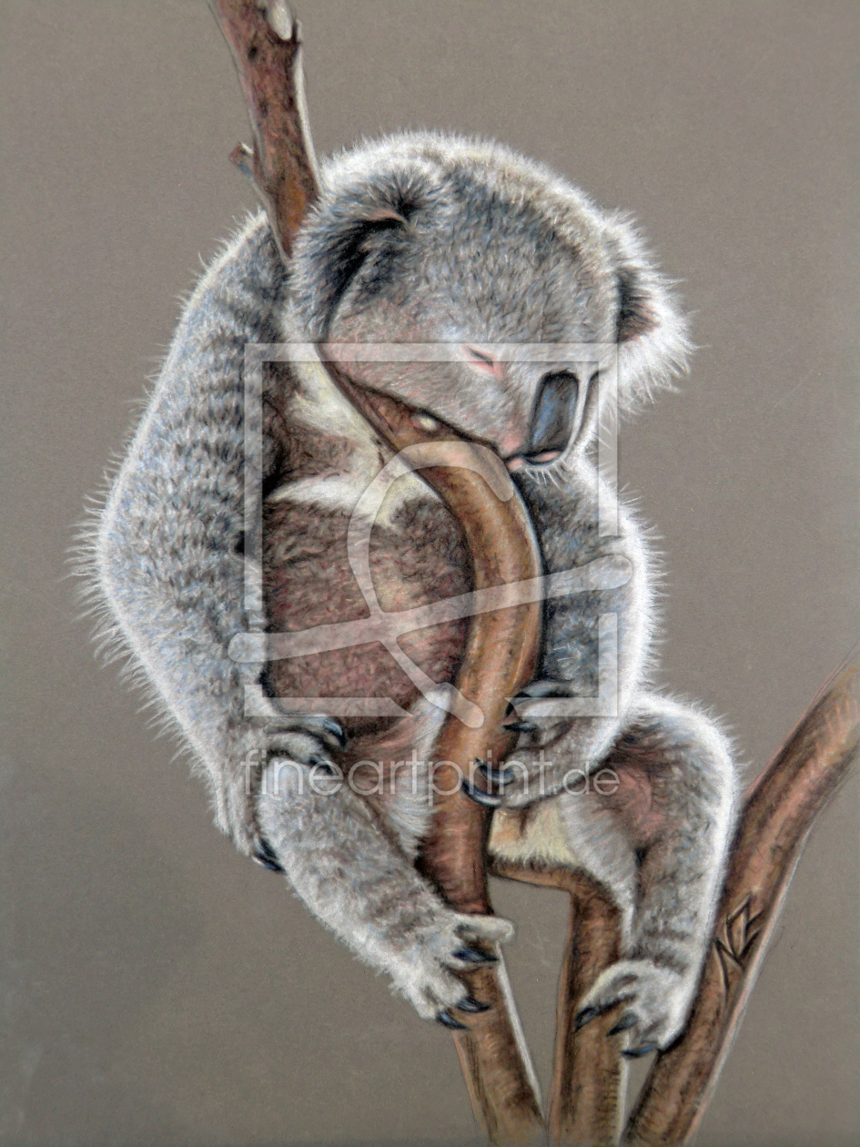 Bild-Nr.: 11460246 KOALA Sleep - Schlafender Koala Bär erstellt von NicoleZeug
