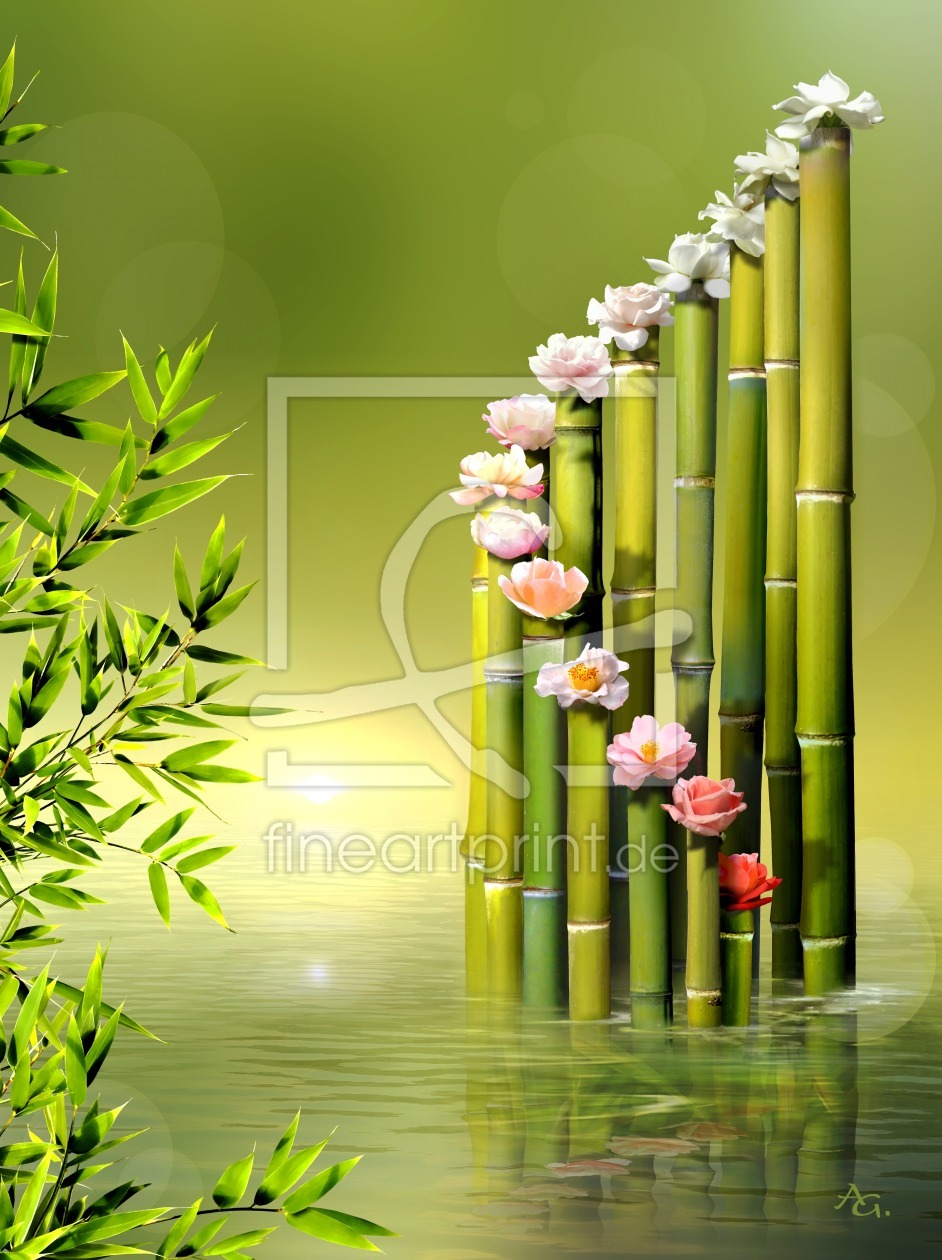 Bild-Nr.: 11461662 Bambus-Blüten-Orgel  erstellt von AG-art