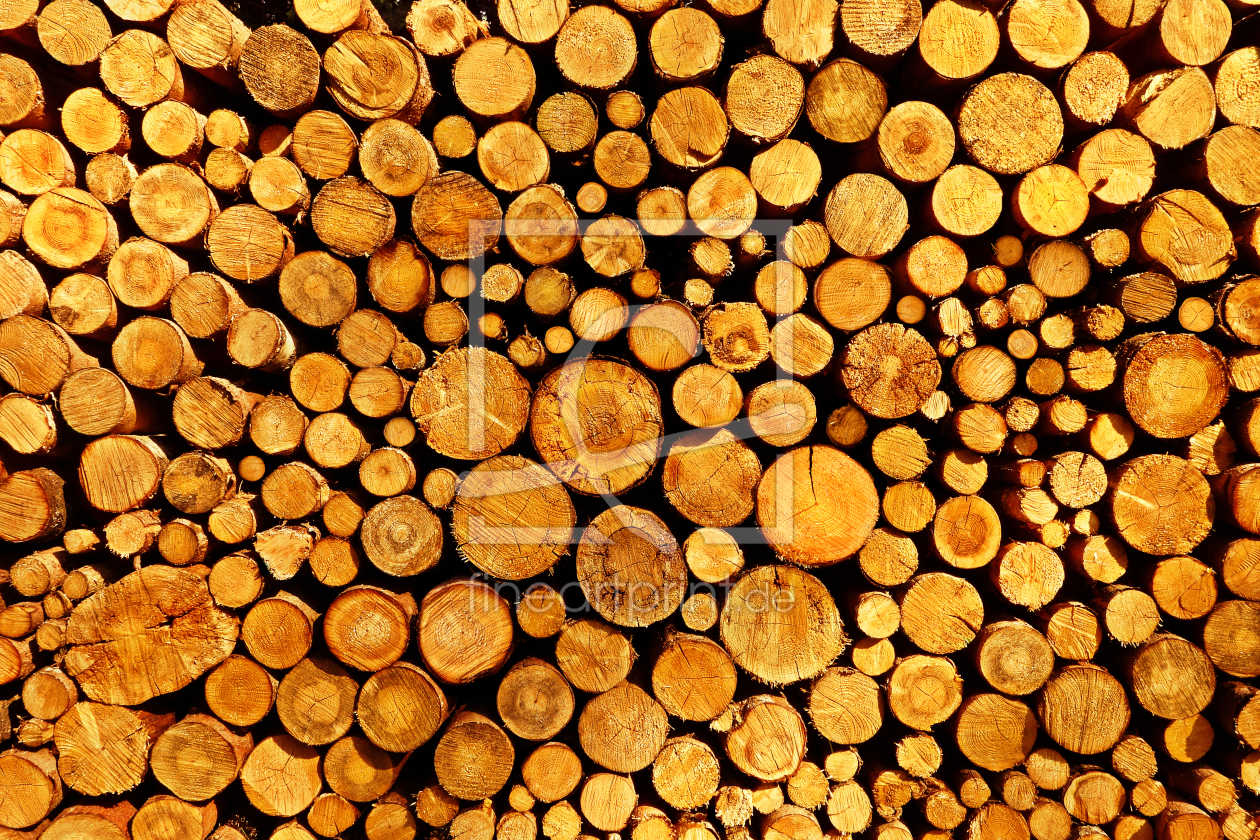 Bild-Nr.: 11557598 Baumstämme gestapelt, Holzstapel erstellt von Darlya