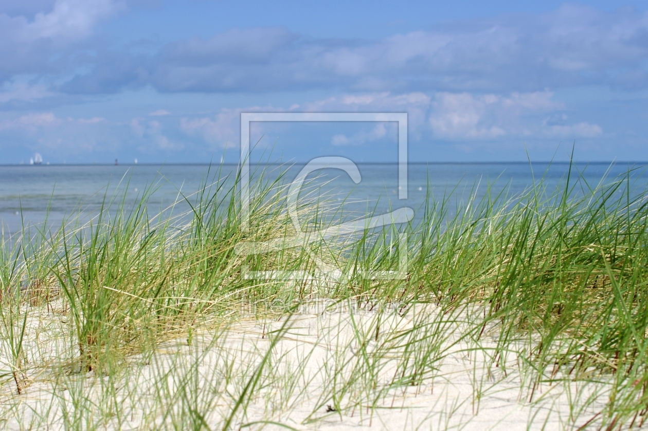 Bild-Nr.: 11562632 Dünen der Ostsee erstellt von Tanja Riedel