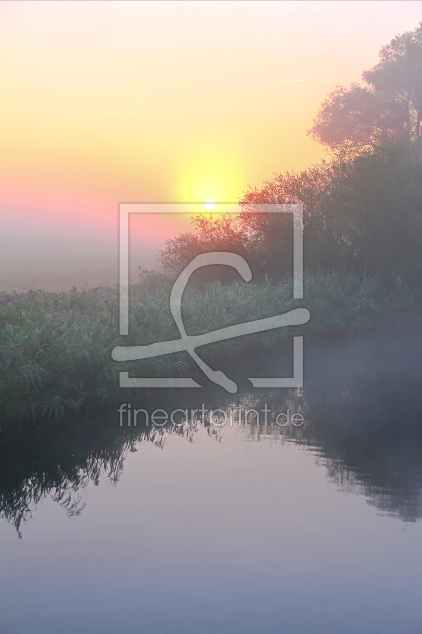 Bild-Nr.: 11568210 Sonnenaufgang im Flussnebel erstellt von falconer59