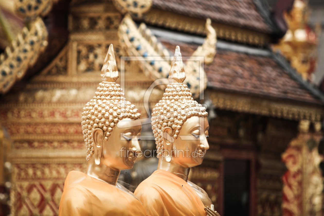 Bild-Nr.: 11575778 Zwei Buddhas erstellt von janschuler