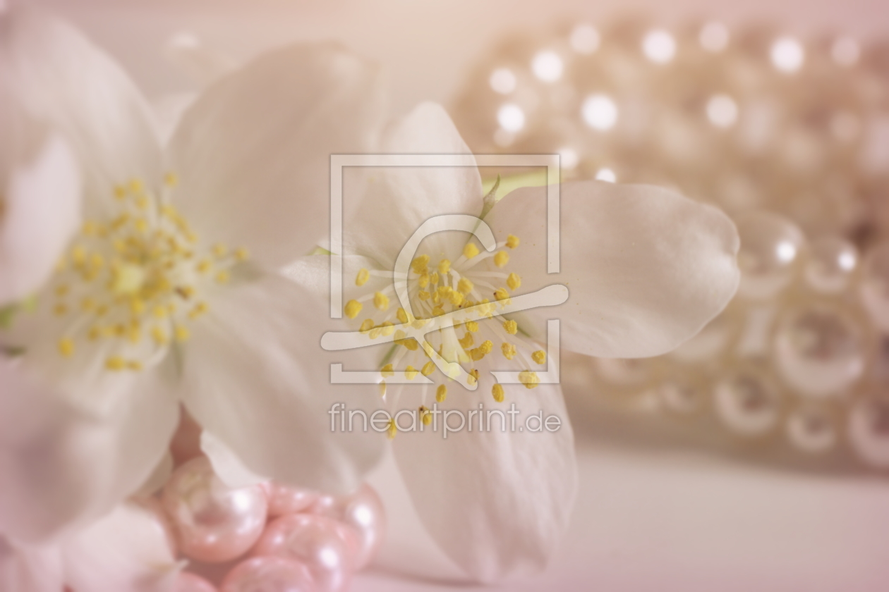 Bild-Nr.: 11764244 Sommerjasmin erstellt von DagmarMarina