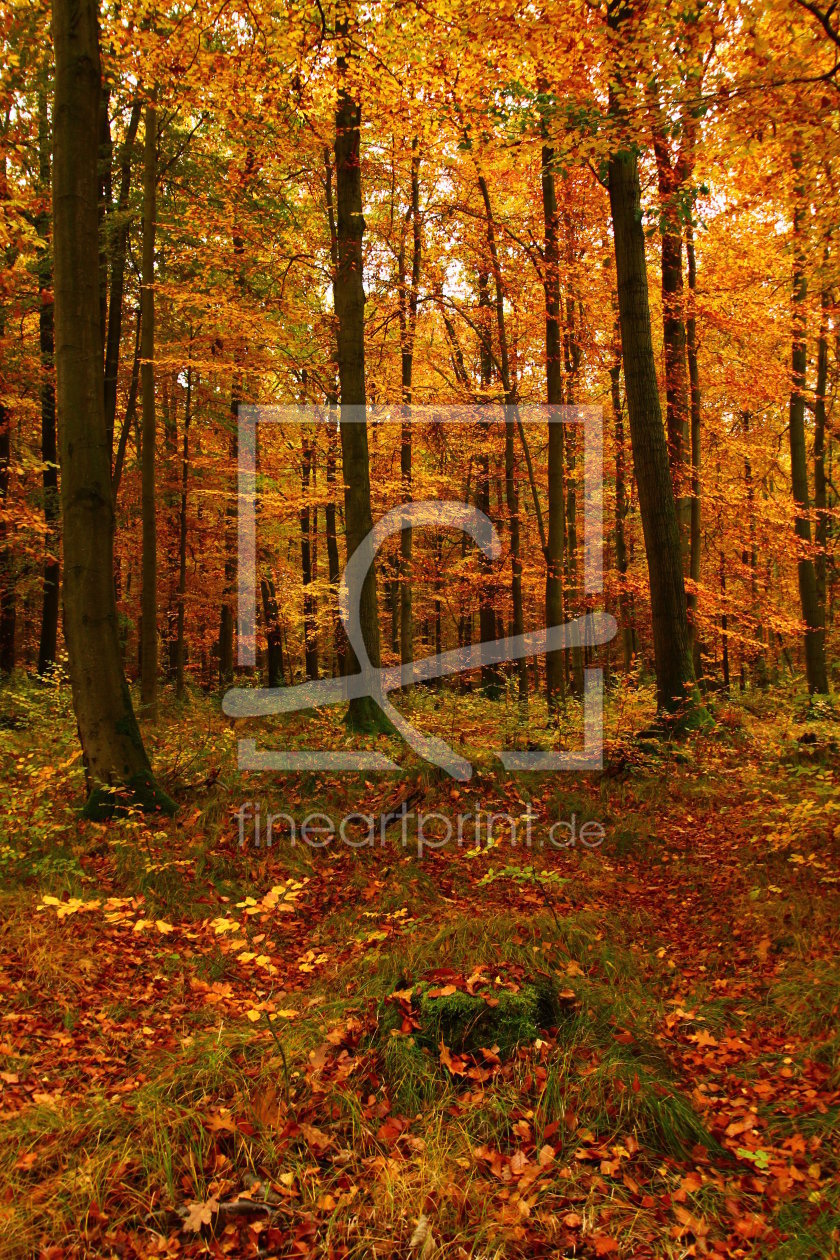 Bild-Nr.: 11843459 Herbst in Karl-Marx-Stadt 3 erstellt von Heike  Hultsch
