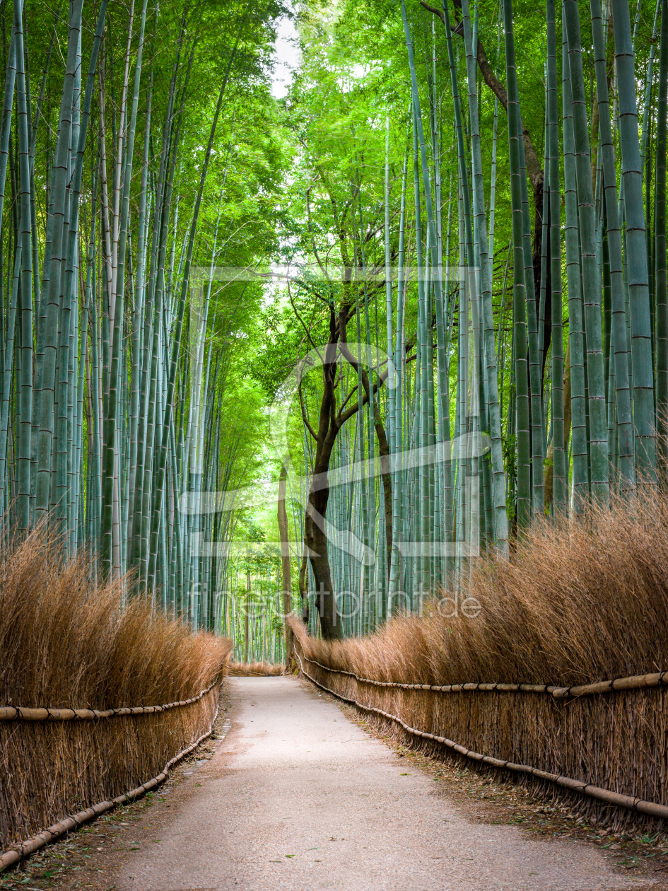 Bild-Nr.: 11879915 Bambuswald in Arashiyama, Kyoto erstellt von eyetronic