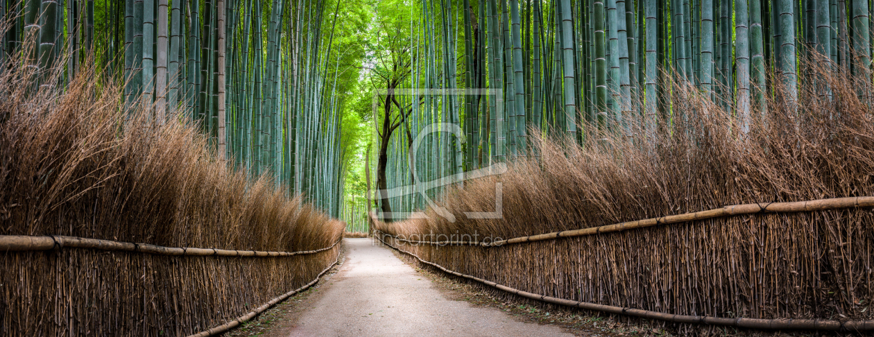 Bild-Nr.: 11880523 Bambuswald Panorama in Kyoto Arashiyama, Japan erstellt von eyetronic