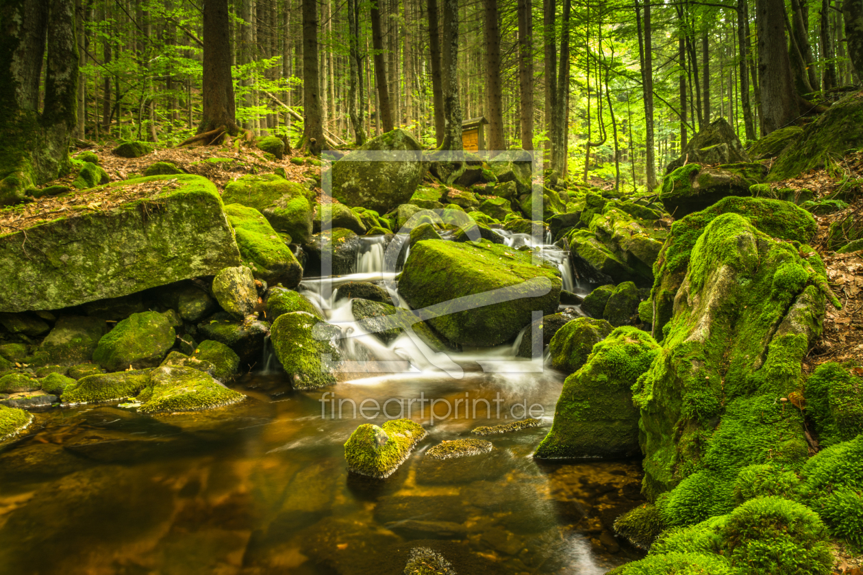 Bild-Nr.: 11886954 Bayerischer Wald - Natur Idylle erstellt von luxpediation