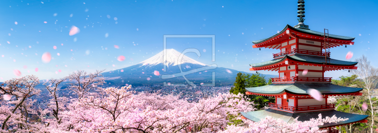 Bild-Nr.: 11895844 Berg Fuji während der Kirschblüte in Japan erstellt von eyetronic