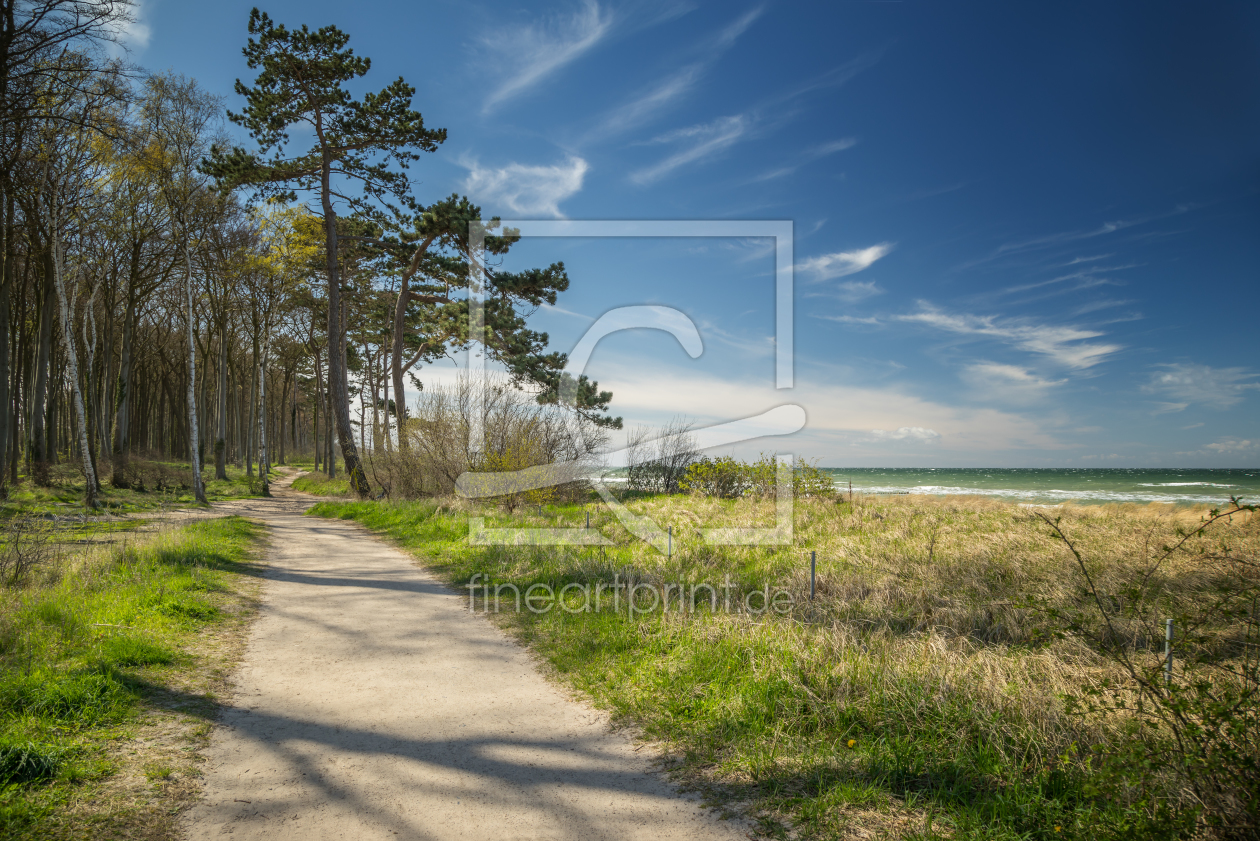 Bild-Nr.: 11901618 An der Ostsee erstellt von FotoDeHRO