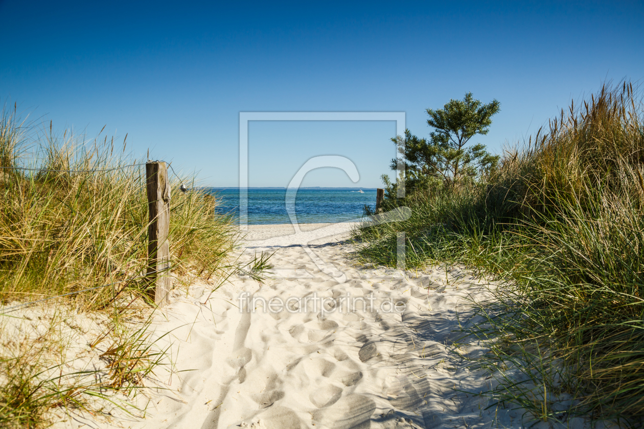 Bild-Nr.: 11911150 Sommerfrische an der Ostsee erstellt von Ursula Reins