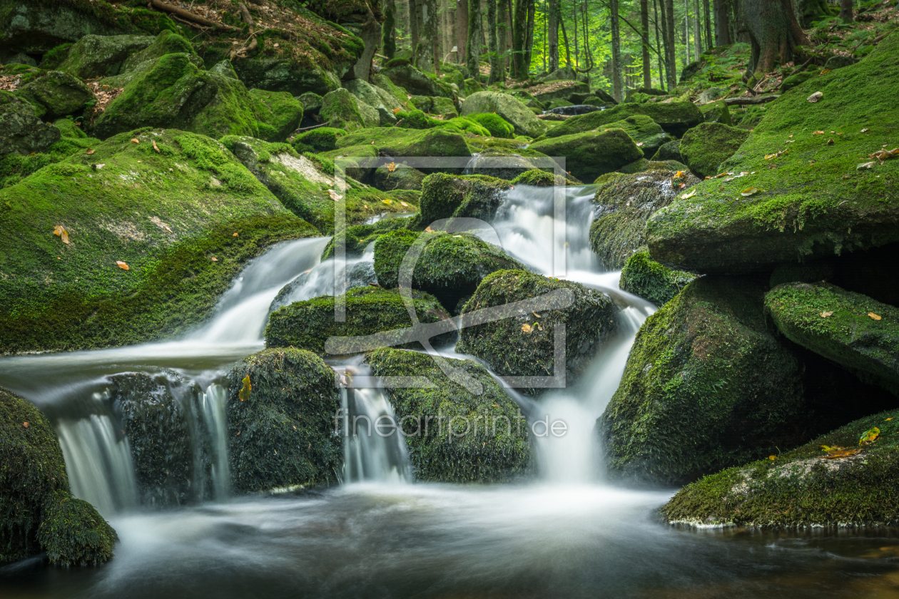 Bild-Nr.: 11914807 Grüner Wasserfall im Nationalpark  erstellt von luxpediation