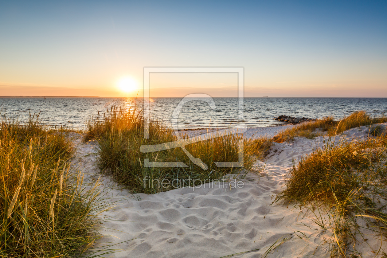 Bild-Nr.: 12003711 Goldene Ostsee Dünen erstellt von Ursula Reins