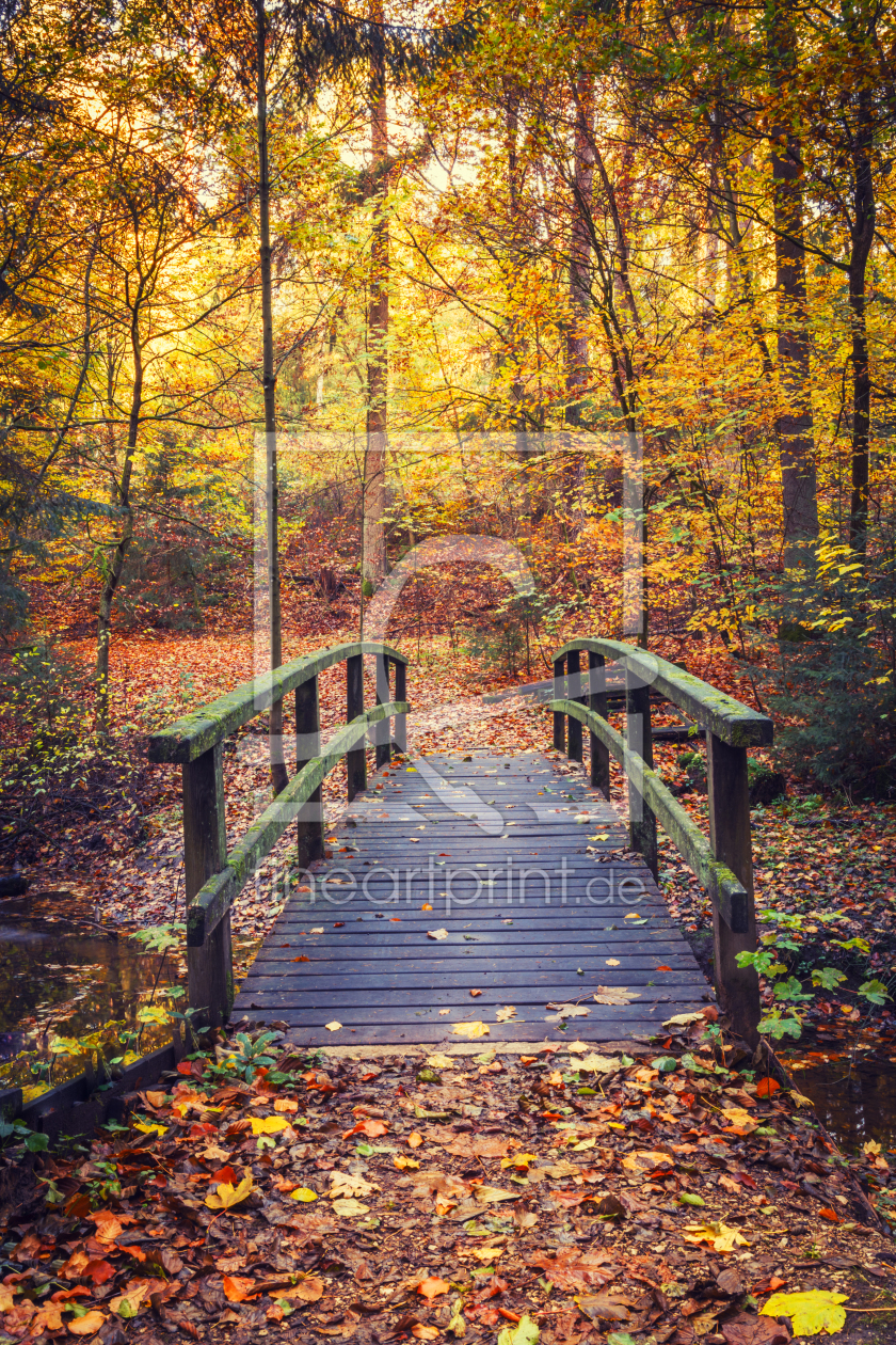 Bild-Nr.: 12021547 Herbstwald mit Brücke erstellt von luxpediation